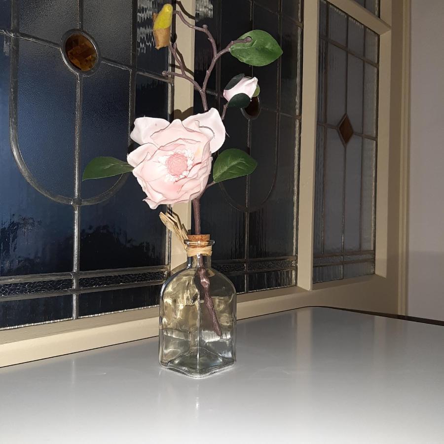 Apartman U Javoru วาร์นสดอร์ฟ ภายนอก รูปภาพ